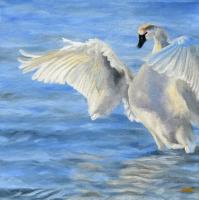 Swan Song by Sonia Reid