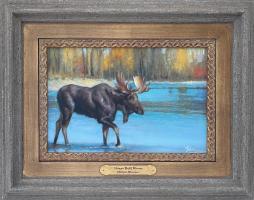 Shiras Bull Moose by Melissa Weinman