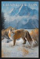 Grand Teton Fox #1/75 by Jennifer Johnson-Prints